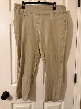 Zac & Rachel Beige Stretch Chino Pants